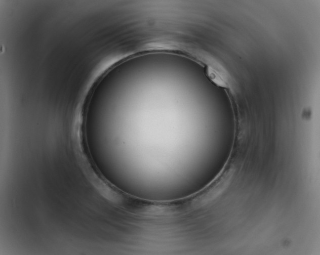X0000103401179200809121235