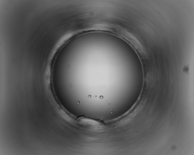 X0000103401180200809121235