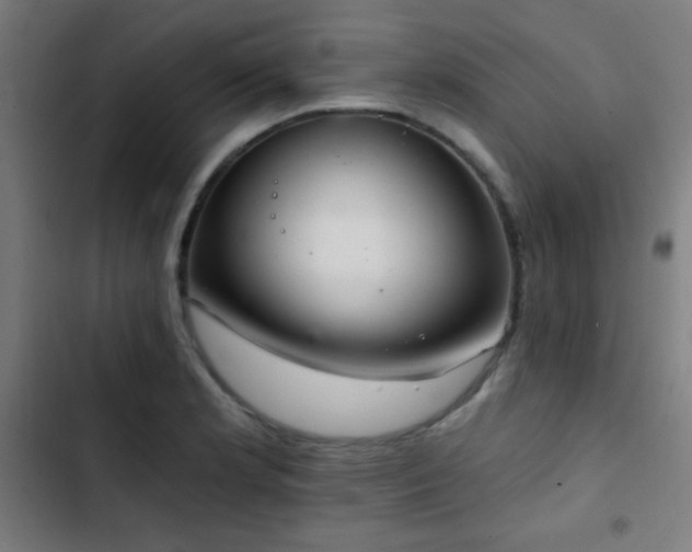 X0000103401181200809121235