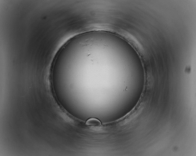 X0000103401182200809121235