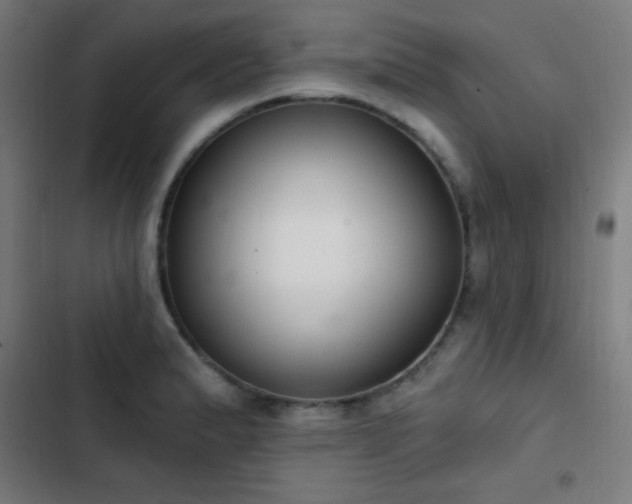 X0000103401183200809121235