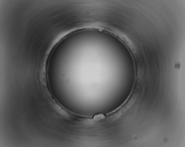 X0000103401184200809121235