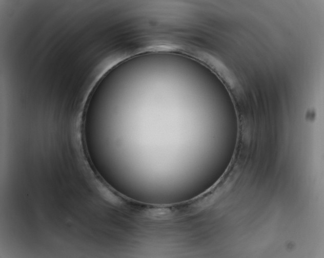 X0000103401186200809121235
