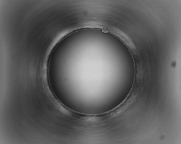 X0000103401188200809121235