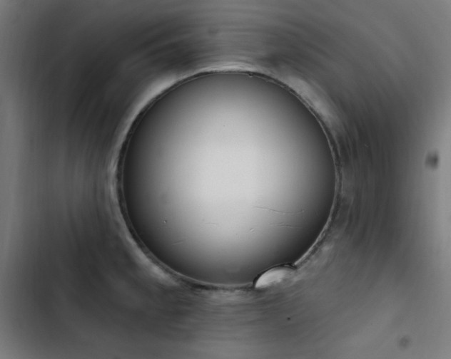 X0000103401189200809121235