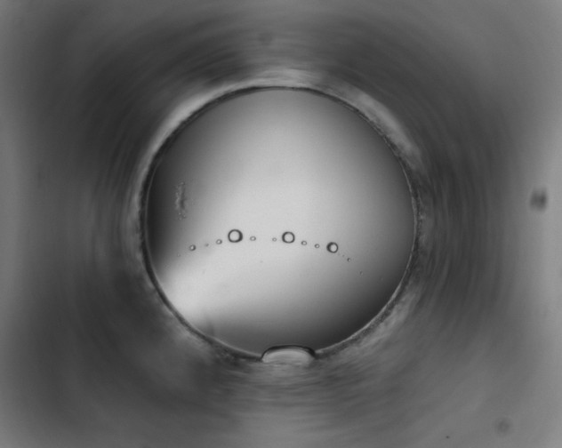 X0000103401192200809121235