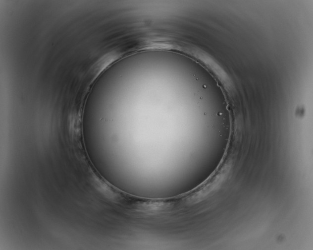 X0000103401193200809121235