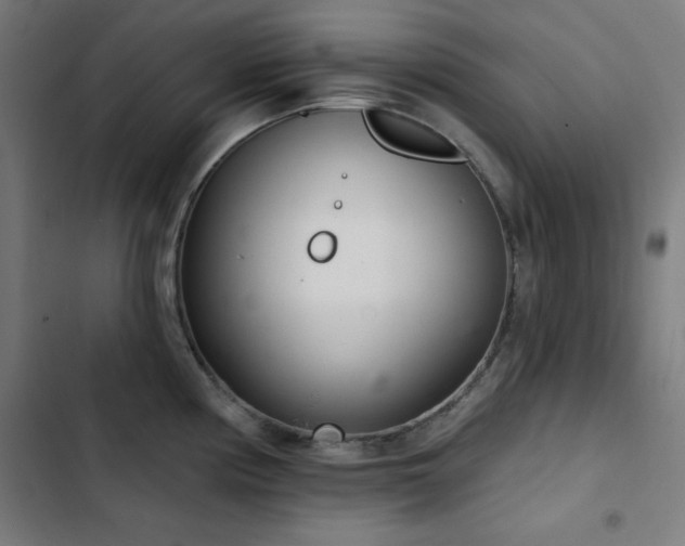 X0000103401194200809121235