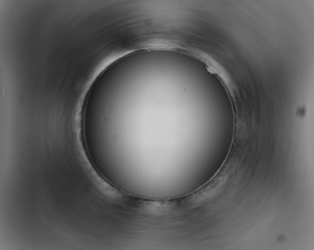 X0000103401195200809121235