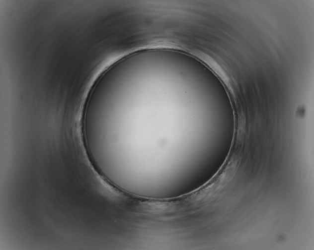 X0000103401197200809121235