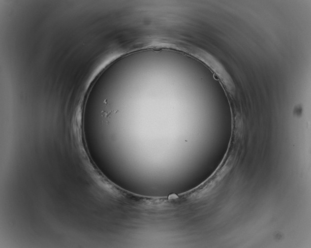 X0000103401198200809121235