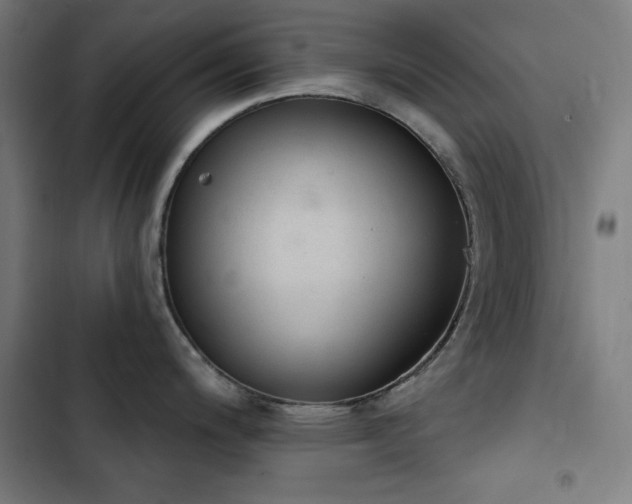 X0000103401200200809121235