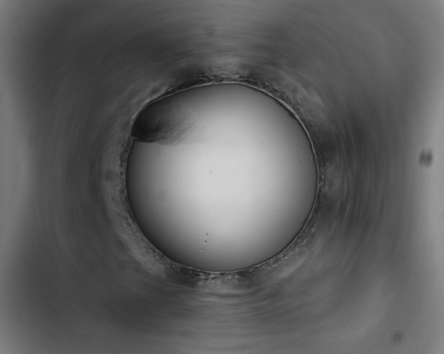 X0000103401201200809121234