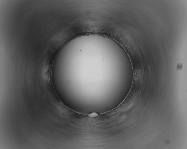 X0000103401202200809121234