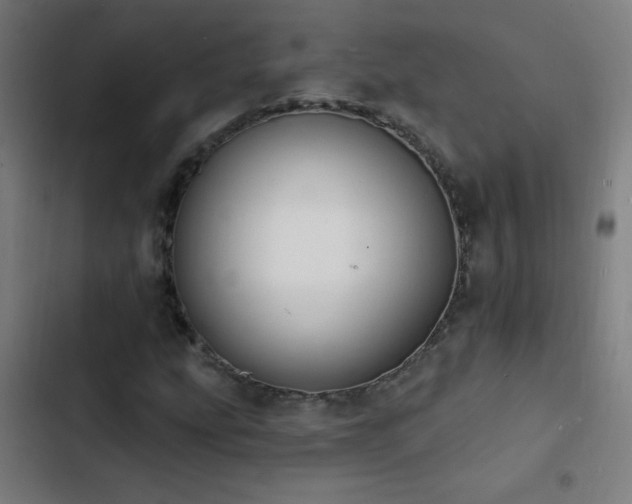 X0000103401207200809121234