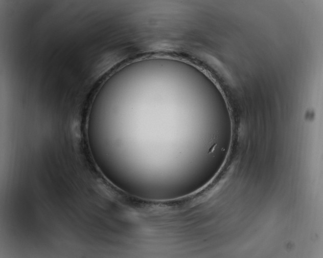 X0000103401209200809121234