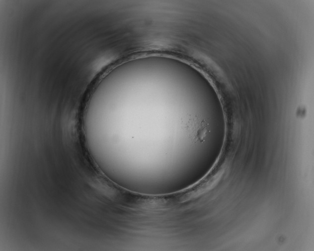 X0000103401210200809121234
