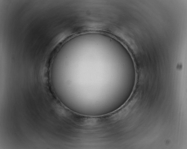 X0000103401211200809121234