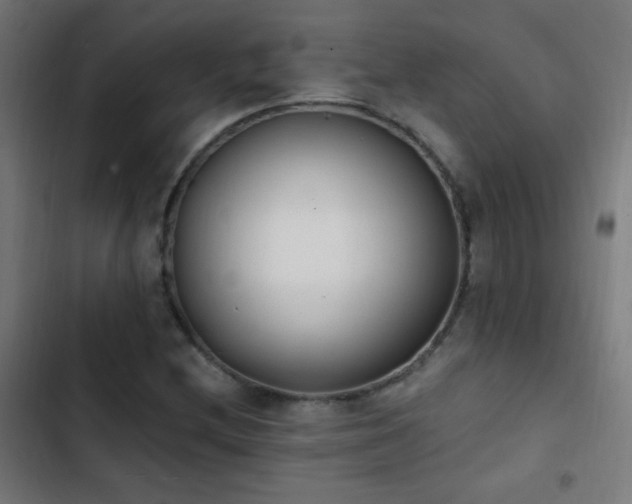X0000103401212200809121234