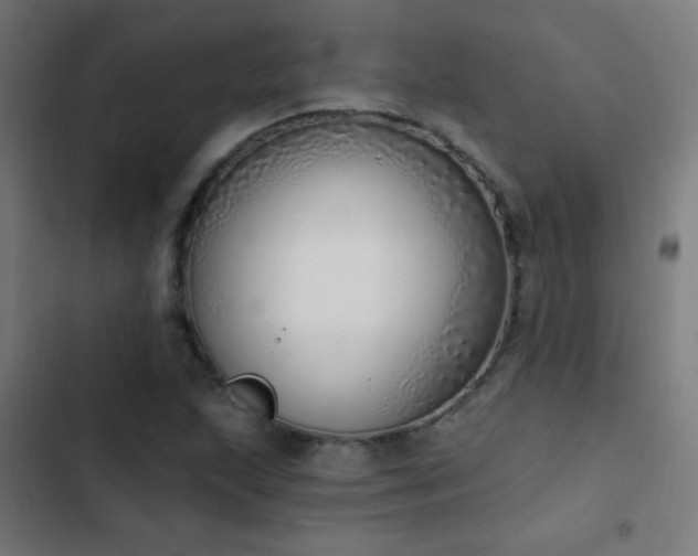 X0000103401215200809121234