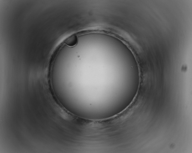 X0000103401216200809121234