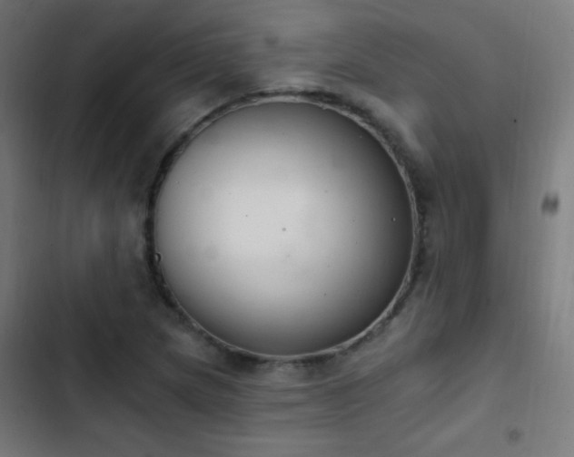 X0000103401217200809121234