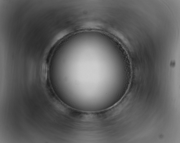 X0000103401219200809121234