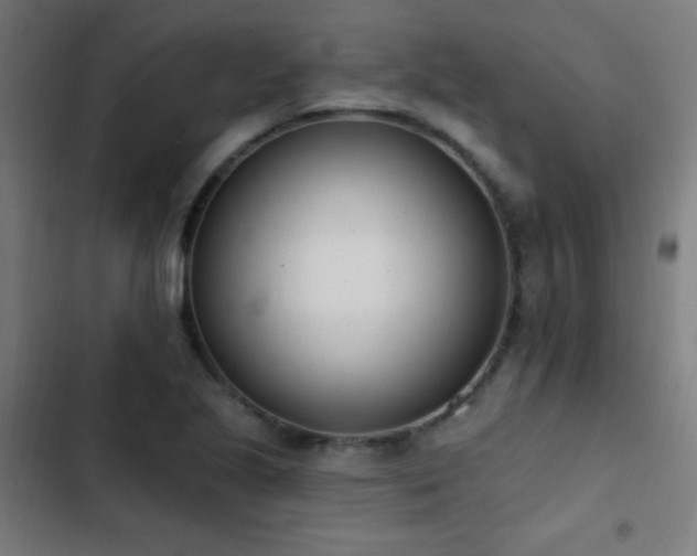 X0000103401221200809121235