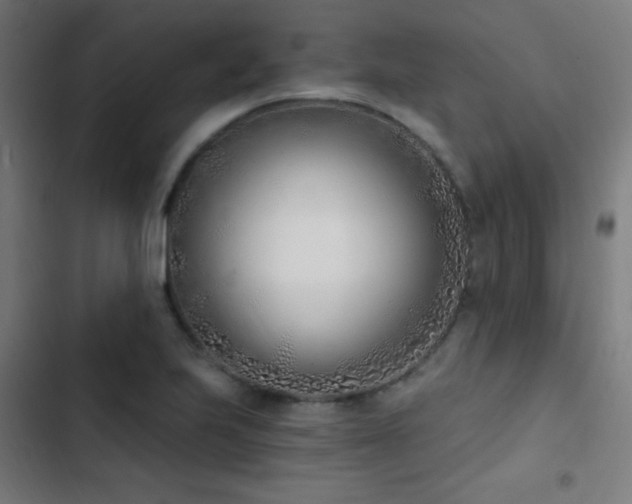 X0000103401223200809121235