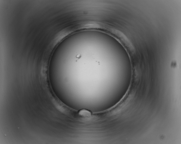 X0000103401225200809121235