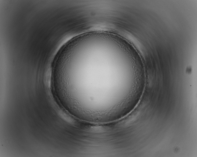X0000103401227200809121235