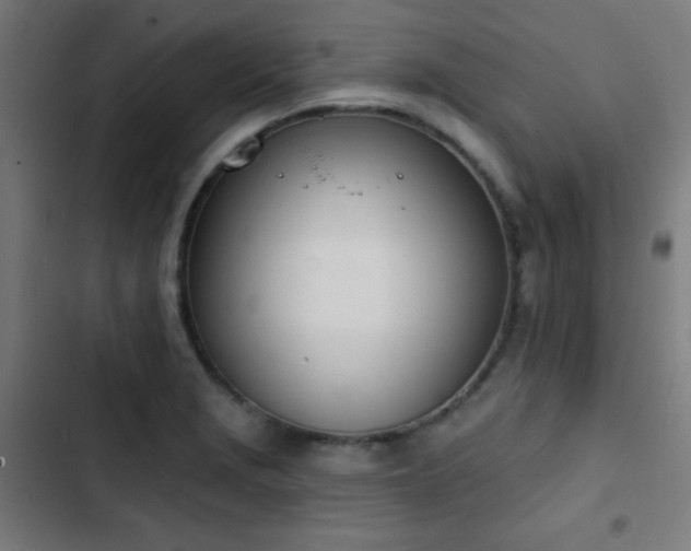 X0000103401229200809121235