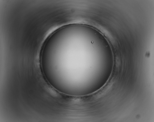 X0000103401230200809121235