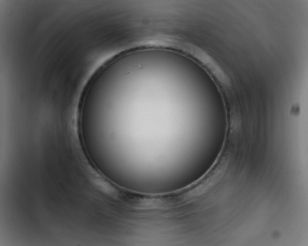 X0000103401232200809121235