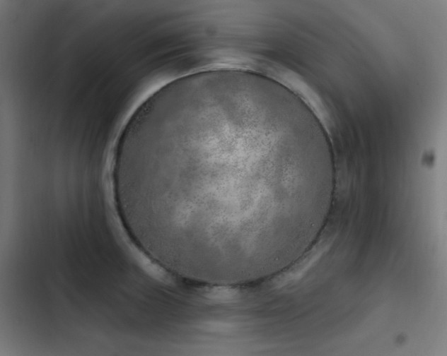 X0000103401235200809121235
