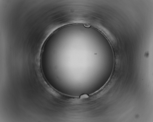 X0000103401236200809121235