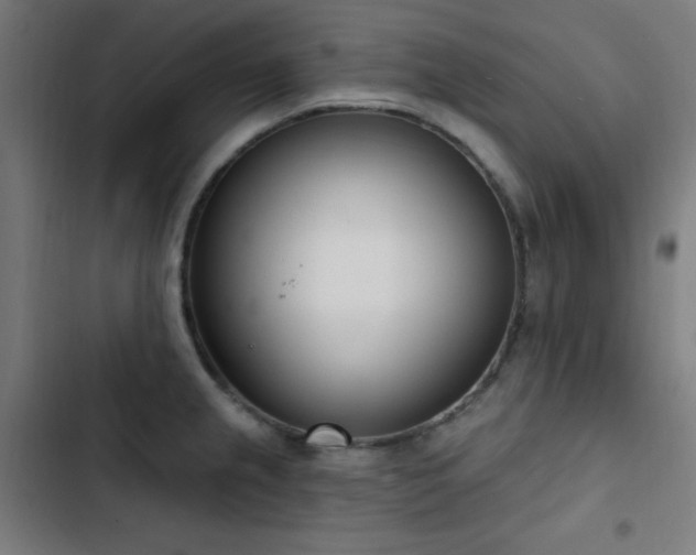 X0000103401237200809121235