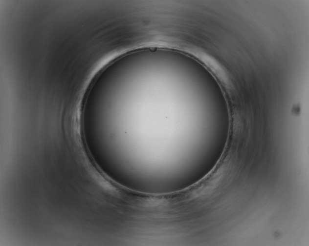 X0000103401238200809121235