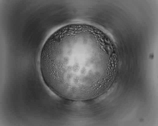 X0000103401239200809121235