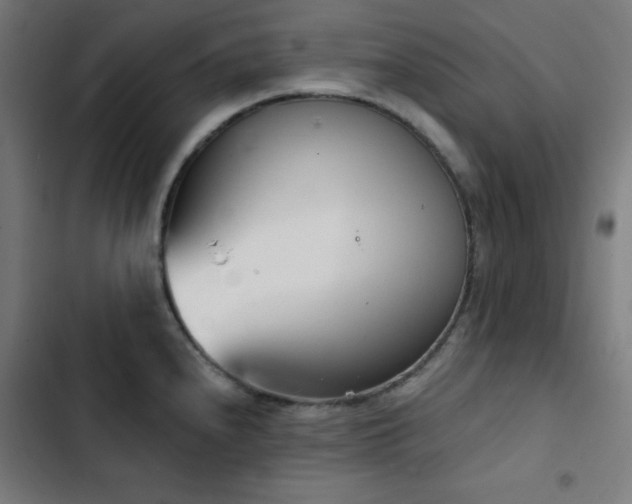 X0000103401240200809121235