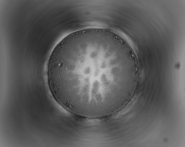 X0000103401243200809121235
