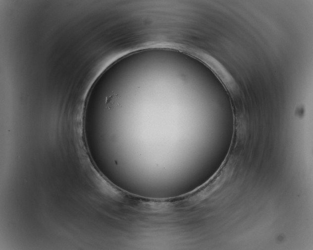 X0000103401244200809121235
