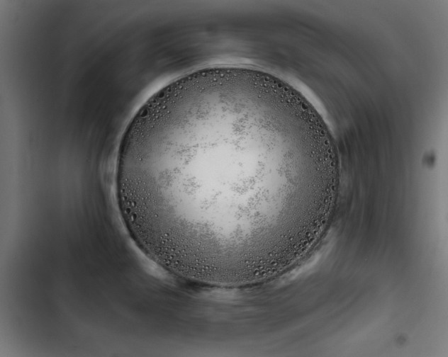 X0000103401245200809121235