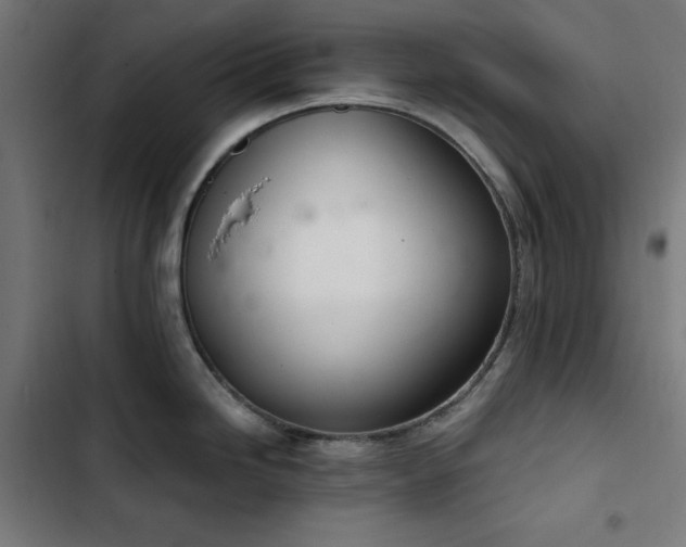 X0000103401246200809121235