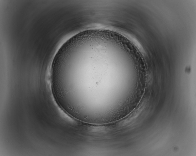 X0000103401247200809121235