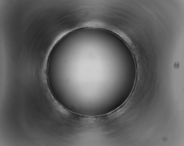 X0000103401248200809121235