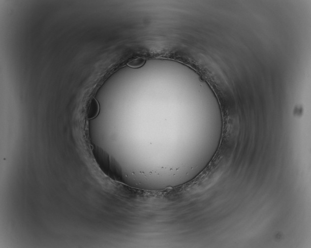X0000103401249200809121234