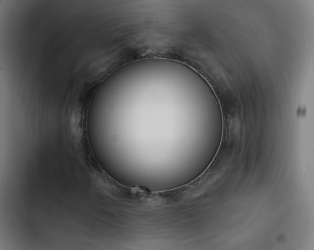 X0000103401250200809121234