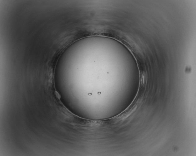 X0000103401251200809121234