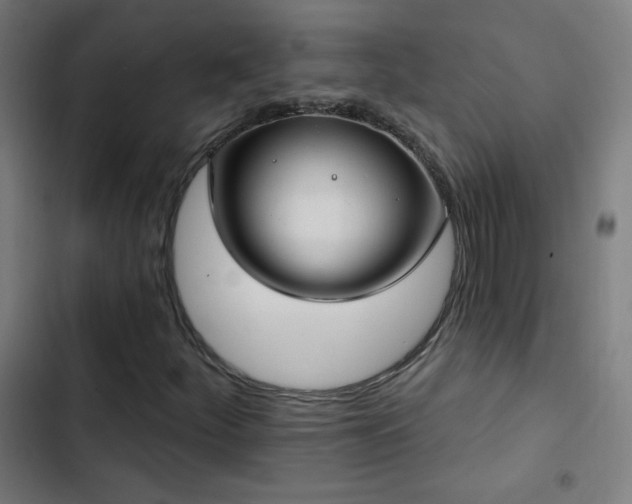 X0000103401252200809121234